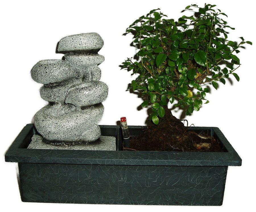 Izbová bonsai - Sagerethia thea 802 - fontána funkčnou súčasťou čerpadielko