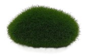Zen garden Z50 - umělý mech - tráva