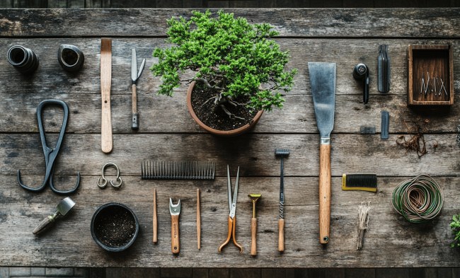 Základné náradie pre pestovanie bonsajov